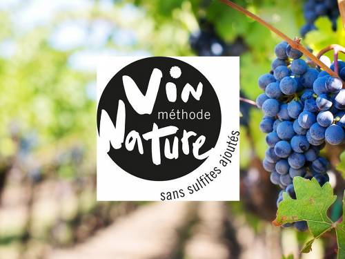 novost velika promena u francuskom vinarstvu vinski magazin vino fino