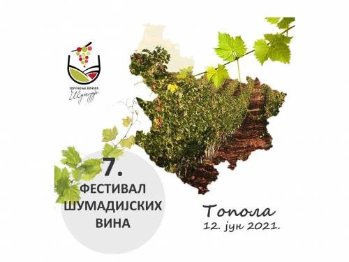 novost vina iz cele Šumadije na festivalu u topoli vinski magazin vino fino