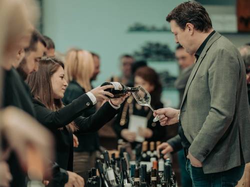 novost vina srbije čekaju nova zlata vinski magazin vino fino
