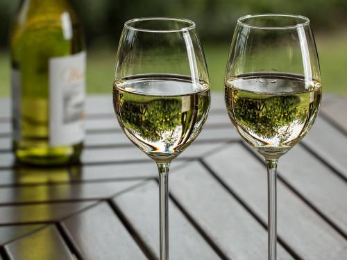 novost vinari iz Žigonde od 2023 praviće i bela vina vinski magazin vino fino