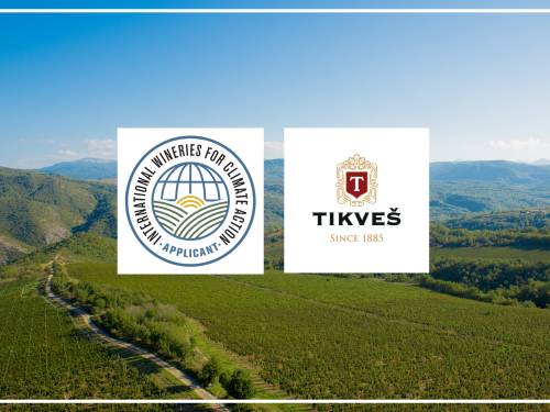 novost vinarija tikveš u borbi protiv klimatskih promena vinski magazin vino fino