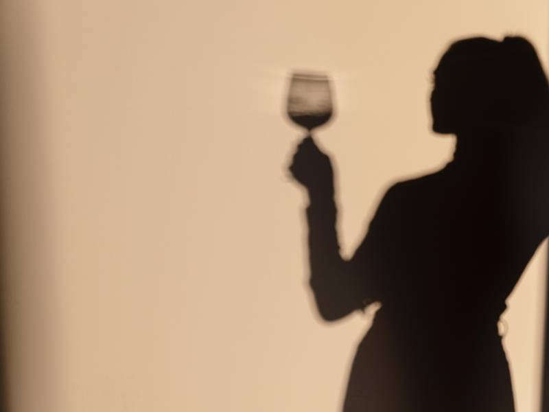 novost vino - generator emocija vinski magazin vino fino