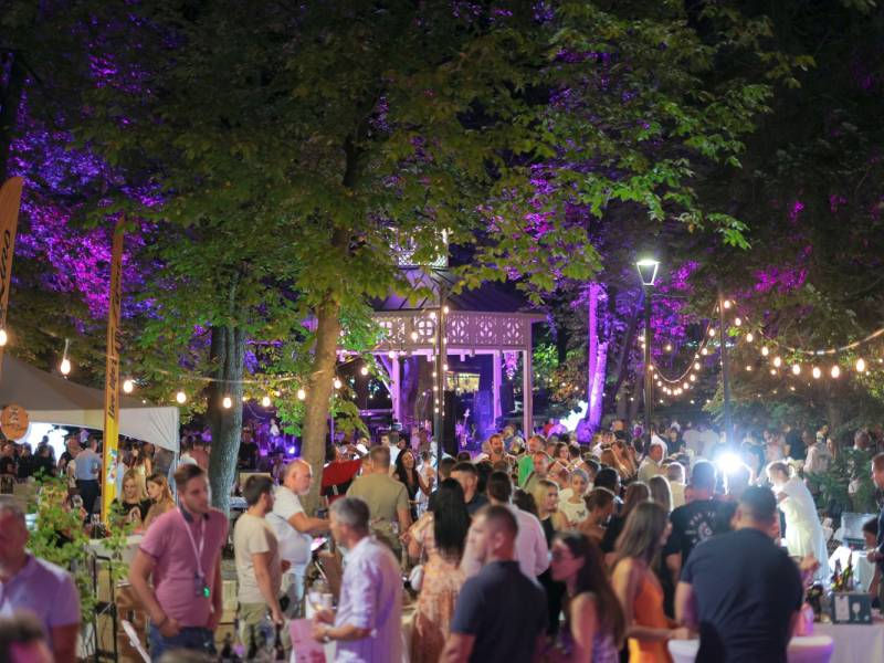novost vino i muzika pod krošnjama vrnjačkog parka vinski magazin vino fino