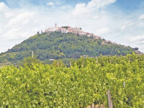 novost vino je fuzija Čoveka i tla vinski magazin vino fino