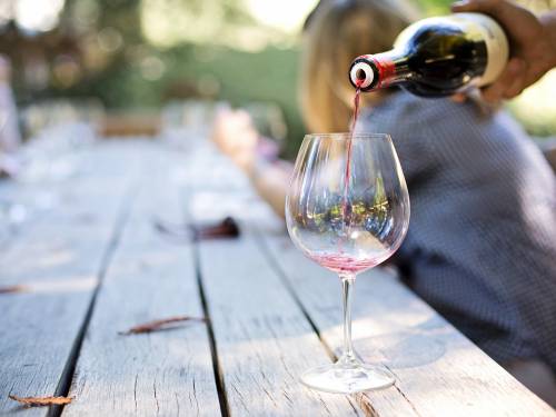 novost vino možda usporava gubitak pamćenja u starosti vinski magazin vino fino
