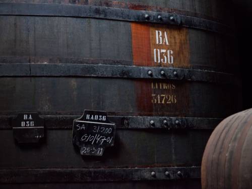 novost vino sa dahom atlantika vinski magazin vino fino