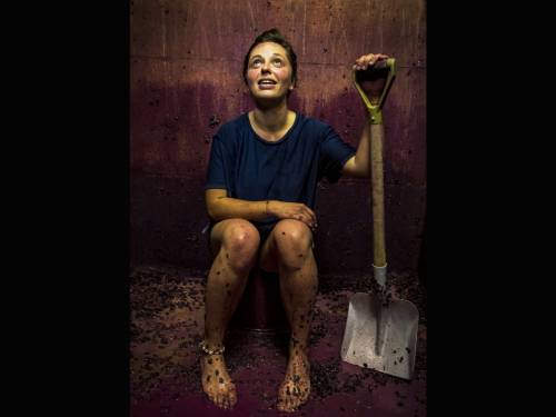 novost vinska fotografija godine snimljena je u burgundiji vinski magazin vino fino