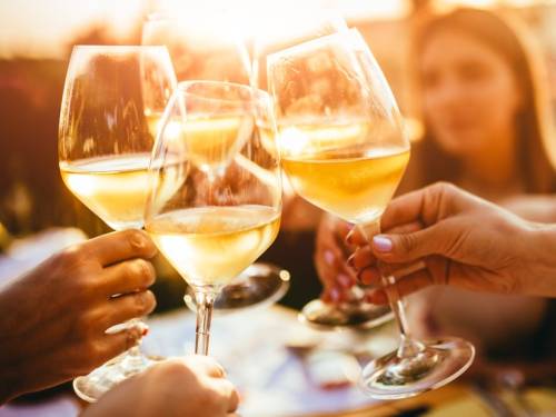 novost vinska srbija okuplja se u zrenjaninu vinski magazin vino fino