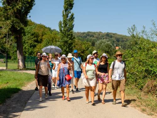 novost vinskim koracima po fruŠkoj gori vinski magazin vino fino