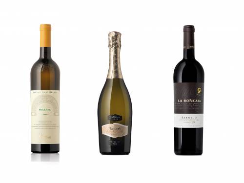 novost vinsko blago friulija vinski magazin vino fino