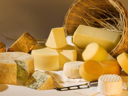 novost više od 200 sireva na balkan cheese festivalu vinski magazin vino fino