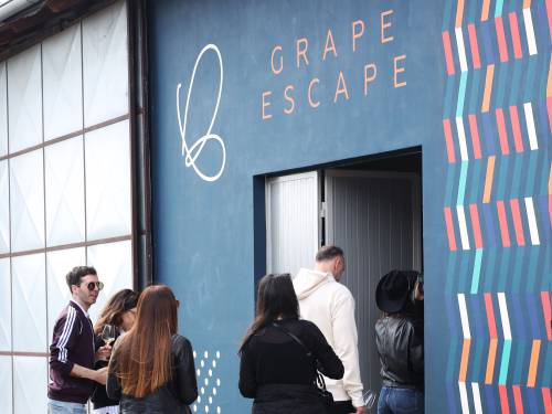 novost vođeno vinsko iskustvo i put kroz svet organskih vina vinski magazin vino fino