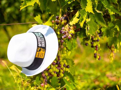 novost walk wine 2023 kako do digitalnog vaučera vinski magazin vino fino