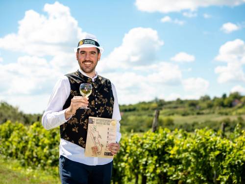 novost walk wine 2023 sve je spremno za fruškogorsku vinsku šetnju vinski magazin vino fino