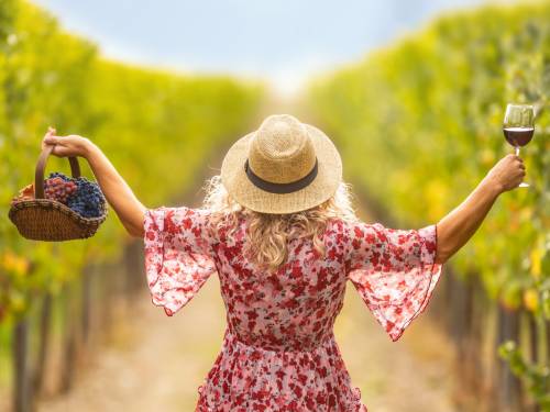 novost walk wine 2023 vinska šetnja fruškom gorom vinski magazin vino fino