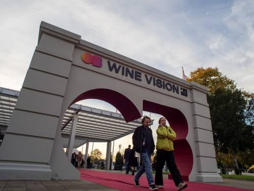 novost wine vision - schedule of workshops and masterclasses vinski magazin vino fino