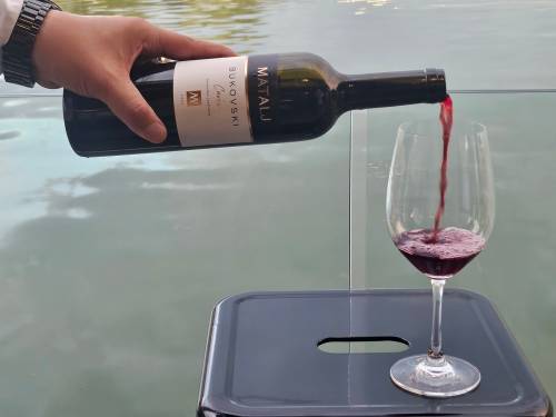 novost zlato za ružno pače vinski magazin vino fino