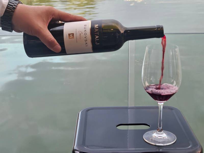 novost zlato za ružno pače vinski magazin vino fino
