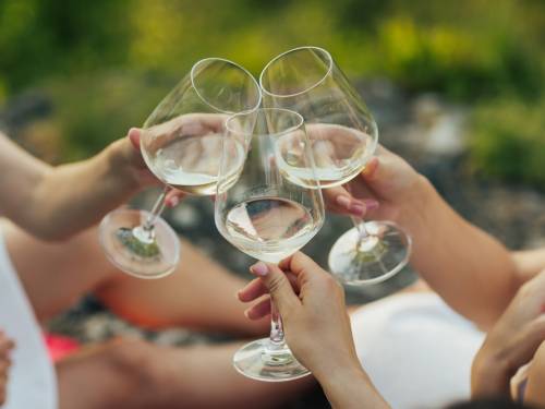 novost zrenjanin domaĆin slavnim vinarima vinski magazin vino fino