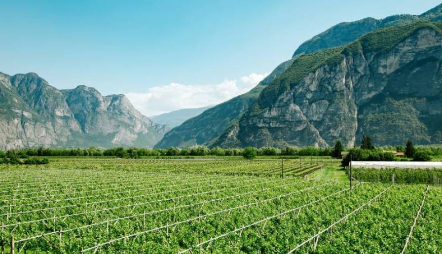 reportaza italija od severa do juga vinski magazin vino fino
