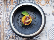 restoran homa bistro vinski magazin vino fino