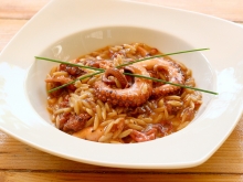 restoran dvorište vinski magazin vino fino