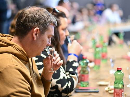 novost srpske rakije predstavljene na weekend food festivalu vinski magazin vino fino