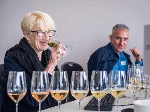novost ambasadorka vina srbije i naša najiskrenija kritičarka vinski magazin vino fino