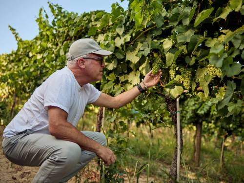 novost džejms sakling vodi dva masterklasa u beogradu vinski magazin vino fino