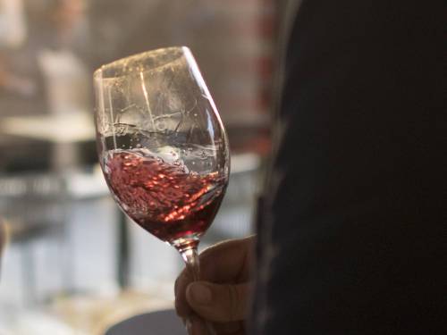 novost otkrijte 14 oktobra sva lica prokupca vinski magazin vino fino
