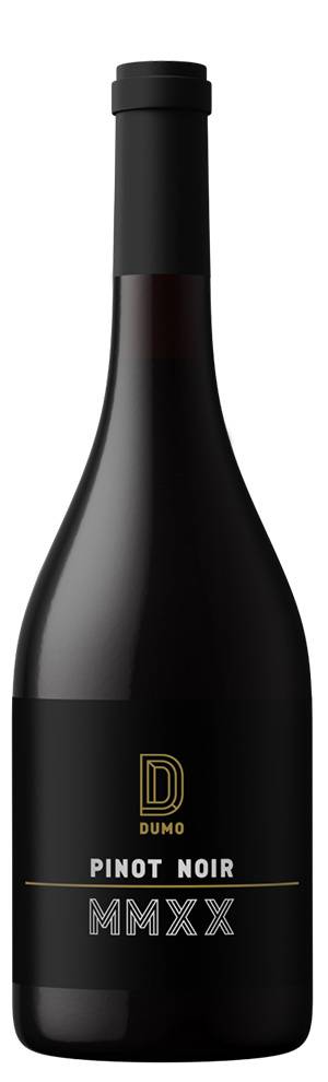 degustacija dumo pinot noir 2021 vinski magazin vino fino
