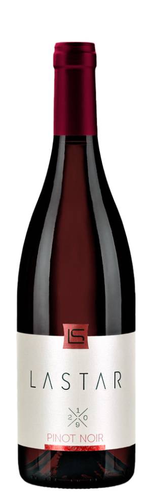 degustacija lastar pinot noir 2019 vinski magazin vino fino