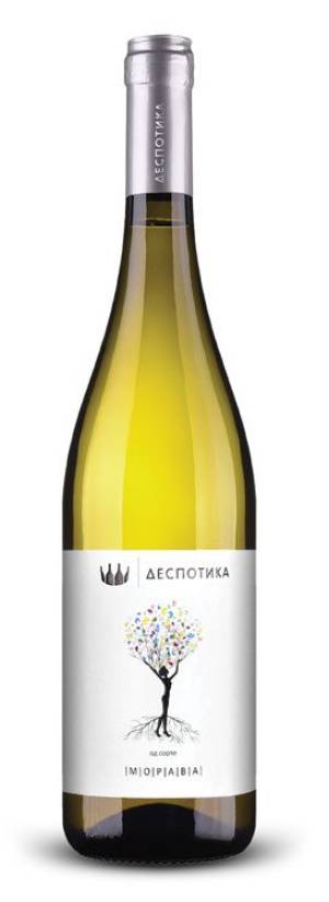 degustacija morava 2023 vinski magazin vino fino