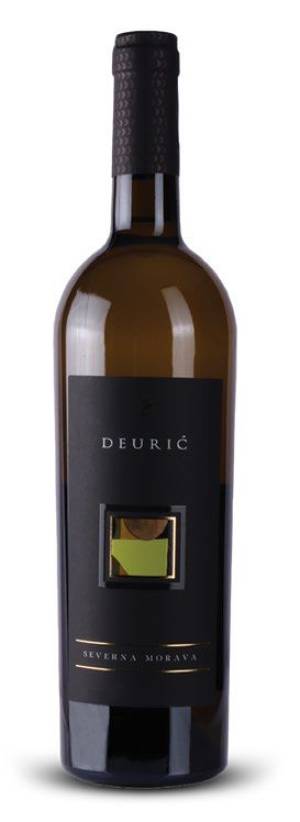 degustacija severna morava 2023 vinski magazin vino fino