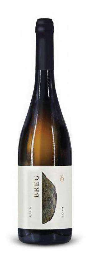 degustacija sila breg 2024 vinski magazin vino fino