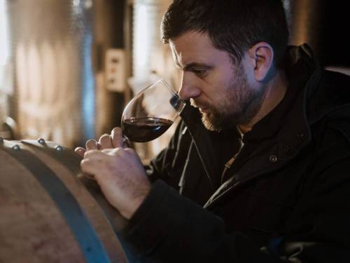 izdvojeno u trci za suncem vinski magazin vino fino