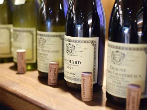 izdvojeno vina pod znakom bahusa vinski magazin vino fino
