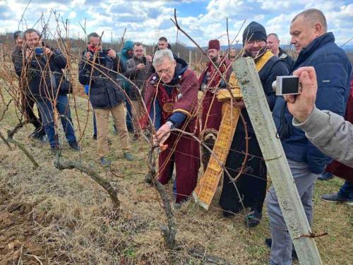 izdvojeno Župski vinari proslavili su svetog trifuna vinski magazin vino fino