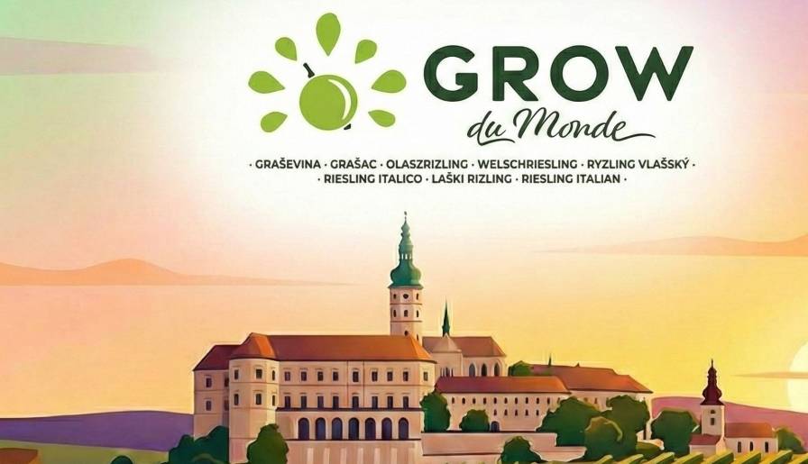 izdvojeno grow du monde poziva vinare da pokažu šta grašac može vinski magazin vino fino