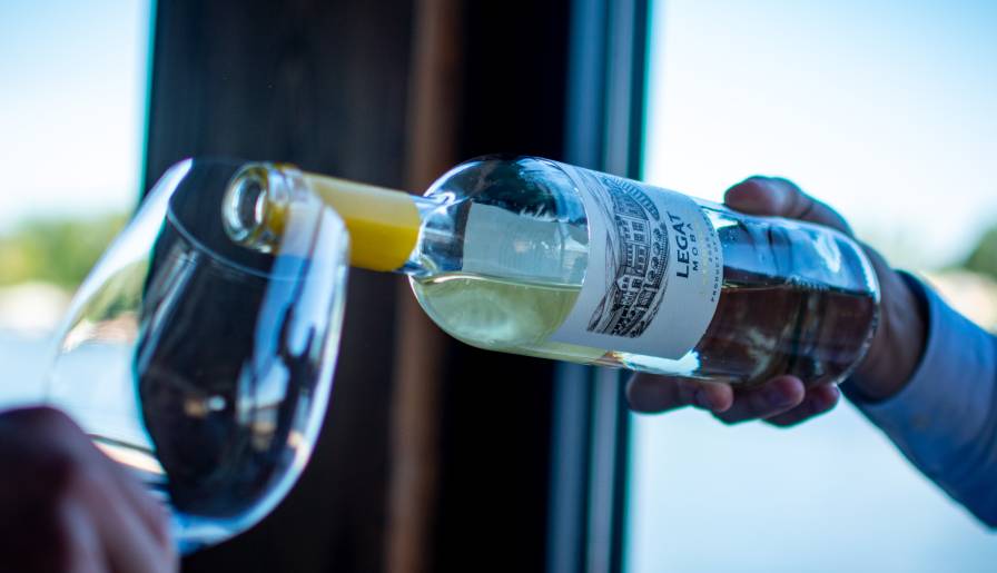 izdvojeno linija vina moba - omaž zadrugarskom duhu vinski magazin vino fino
