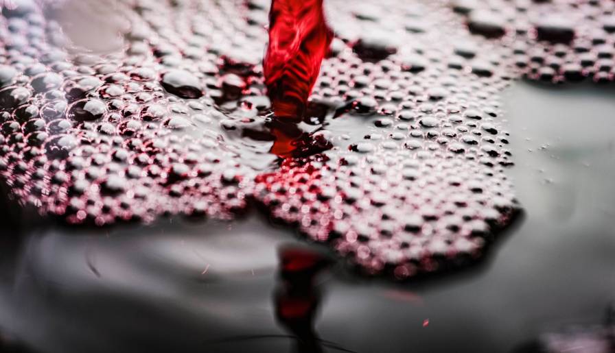 izdvojeno ljubičasti snovi vinski magazin vino fino