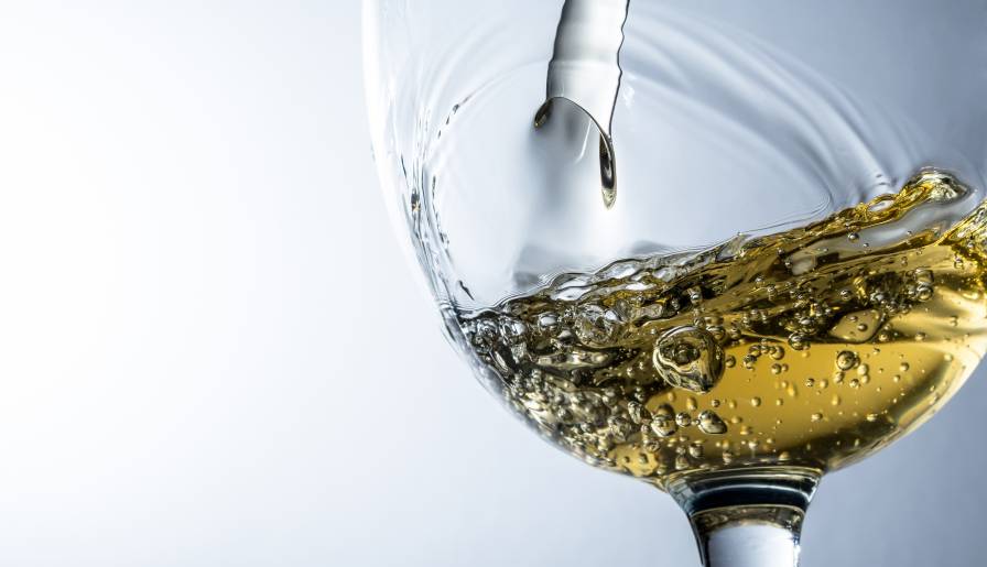 izdvojeno morava sorta rođena pod srećnom zvezdom vinski magazin vino fino