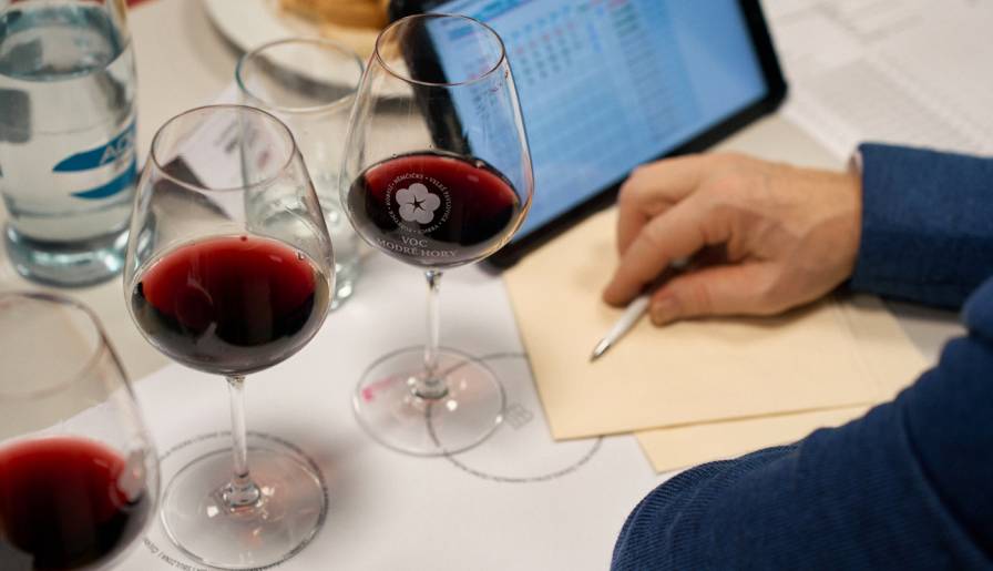 izdvojeno pet medalja u Češkoj za frankovke iz srbije vinski magazin vino fino