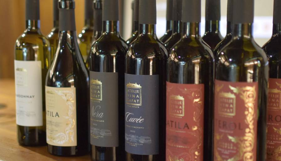 izdvojeno predstavljene četiri nove zvezde iz Šapata vinski magazin vino fino