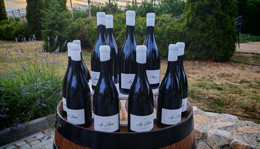 izdvojeno slavlje u čast platinastog šardonea sa fruške gore vinski magazin vino fino