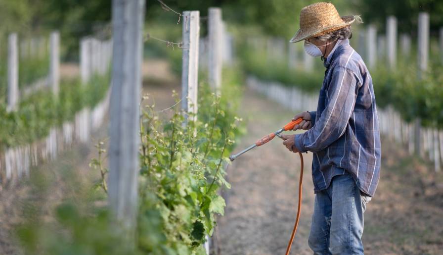 izdvojeno sporna odluka francuskih vlasti Šta posle bakra vinski magazin vino fino