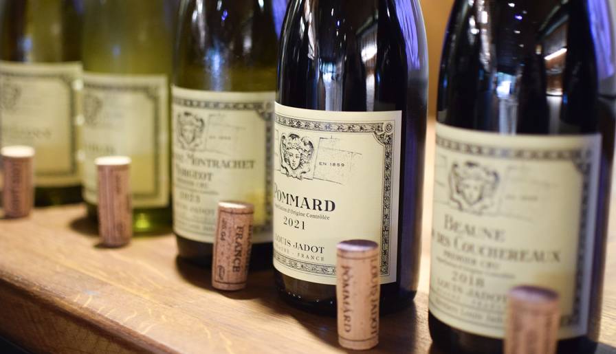 izdvojeno vina pod znakom bahusa vinski magazin vino fino