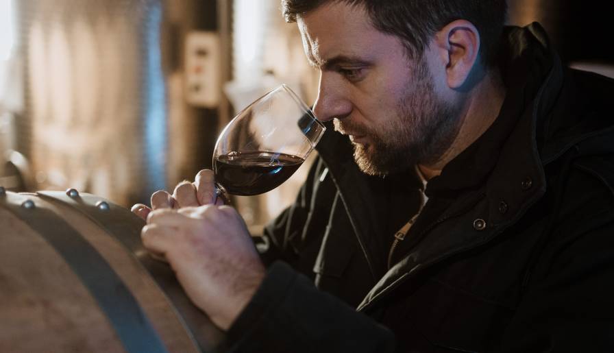 izdvojeno vinarija dragojlović u trci za suncem vinski magazin vino fino