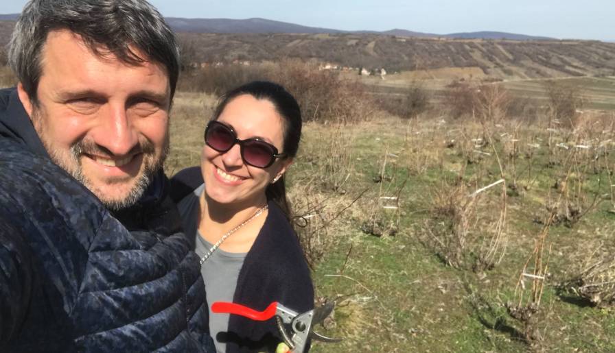 izdvojeno zemunska pijaca kuva za bojana bašu vinski magazin vino fino