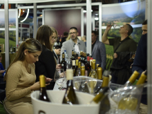 novost wine vision by open balkan pogled u budućnost vina vinski magazin vino fino